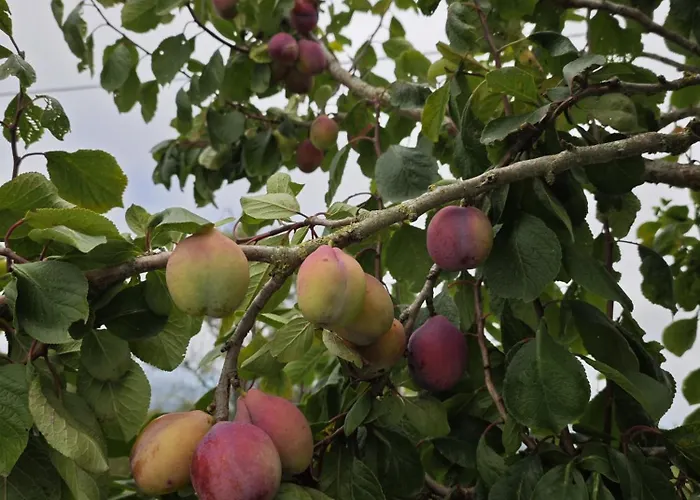 Angel's House Holiday home *